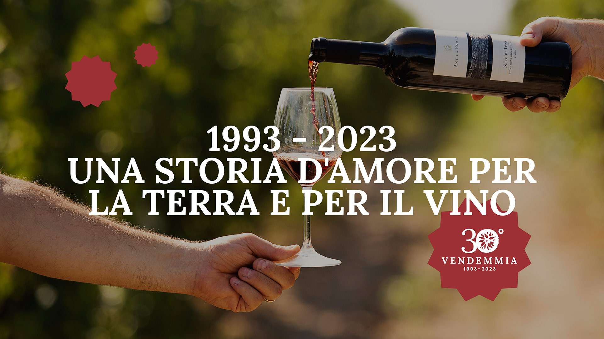 30° vendemmia: dal 1993 la nostra passione per il vino biologico