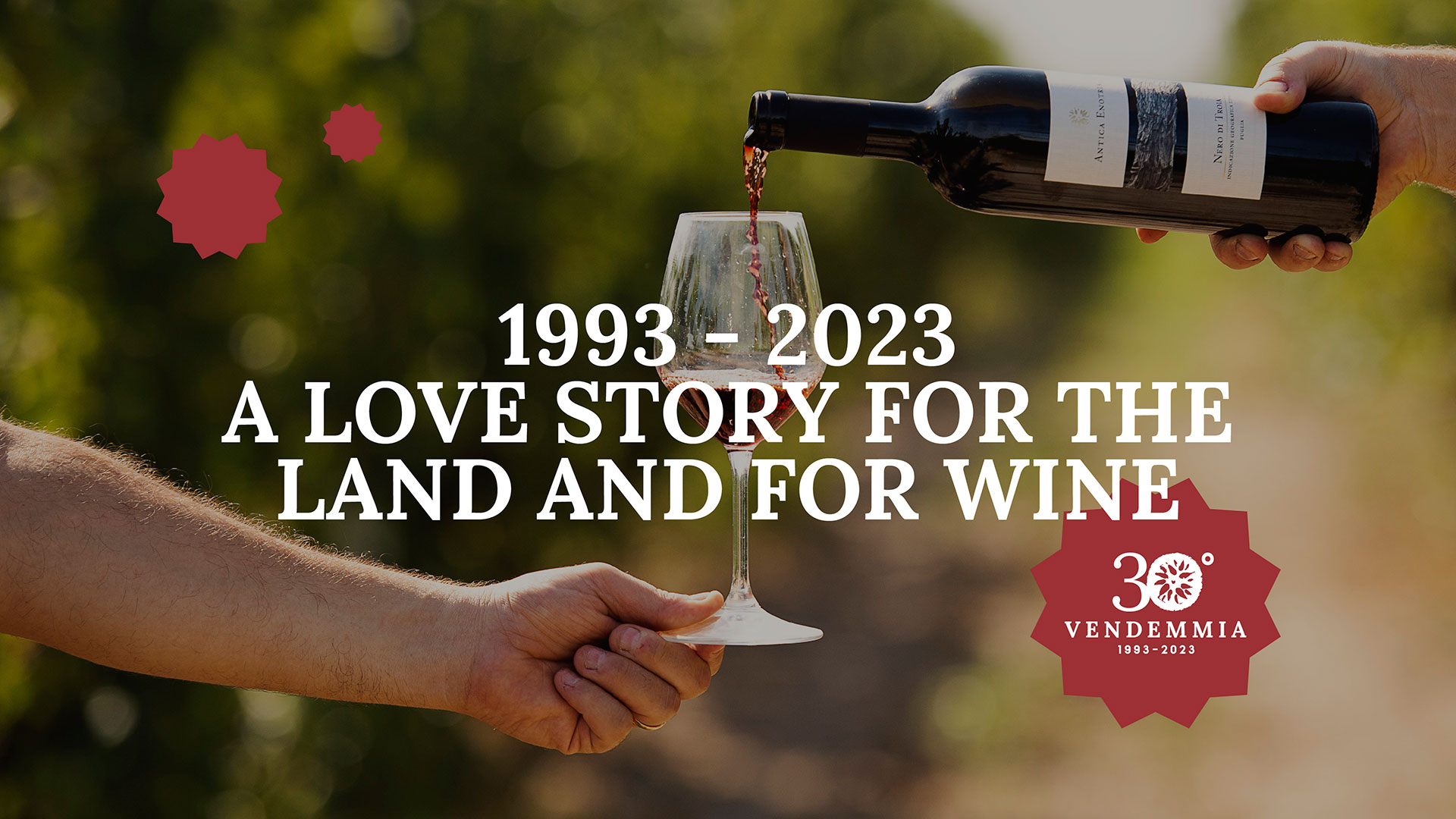 30th harvest: our passion for organic wine since 1993