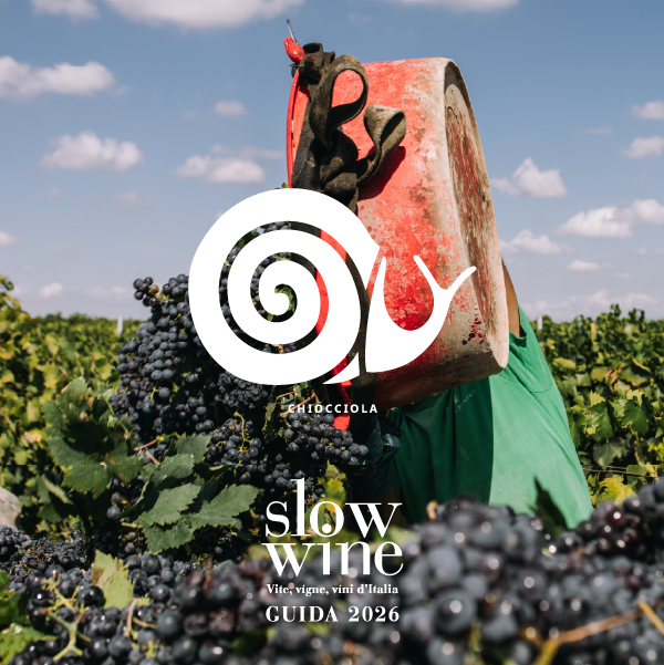 Chiocciola Slow Wine 2026: riconoscimento confermato